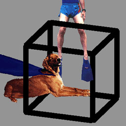 Animated Necker Cube